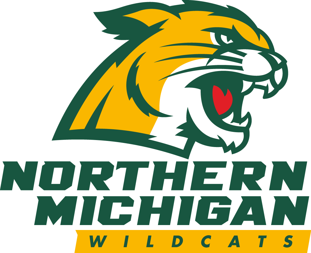 Northern Michigan Wildcats 2016-Pres Primary Logo diy iron on heat transfer